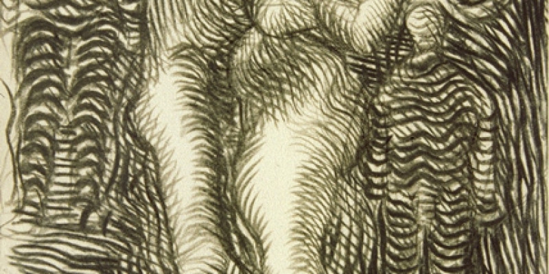 Mangfold innen snever ramme