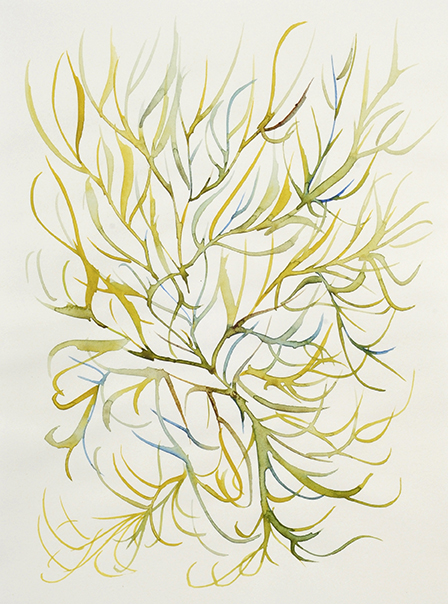 Matthew Rosa Background Q&A with Matteo Rosa | KUNSTforum